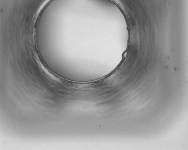 X0000060271484200511112034