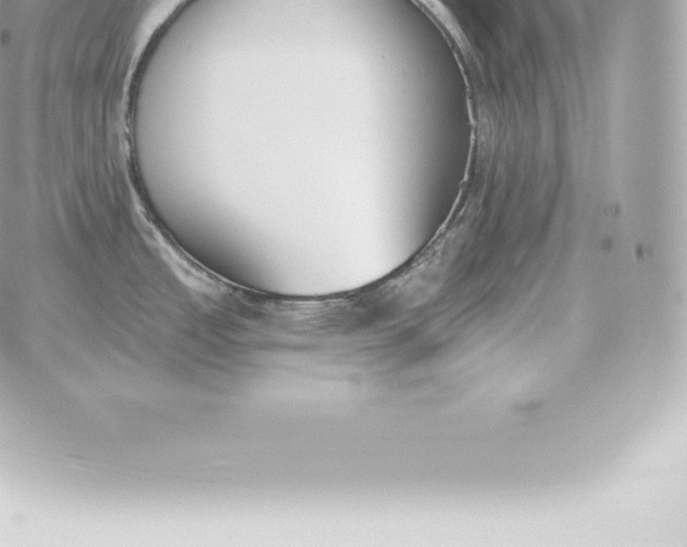 X0000060271485200511112034