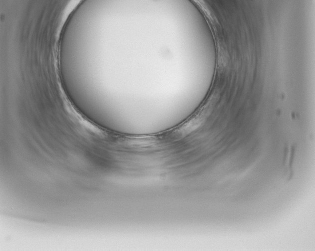 X0000060271486200511112034