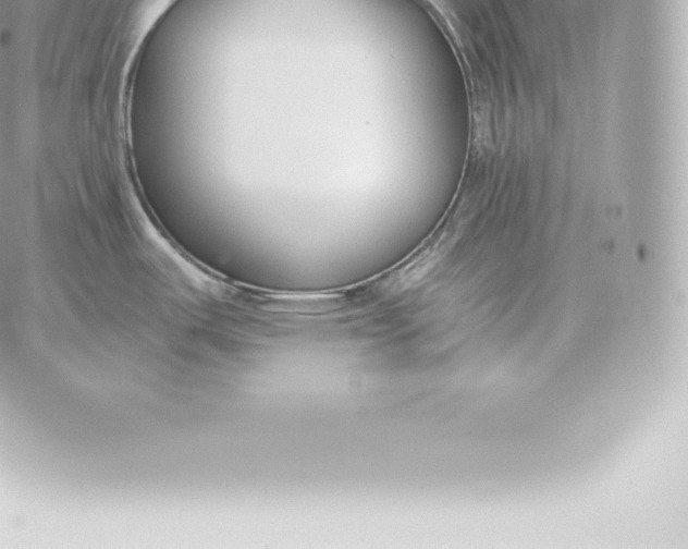 X0000060271487200511112034