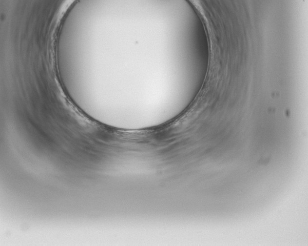 X0000060271488200511112034