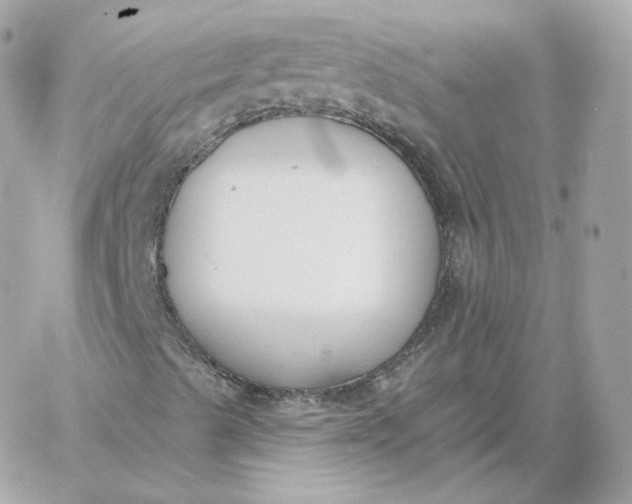 X0000060271489200511112033