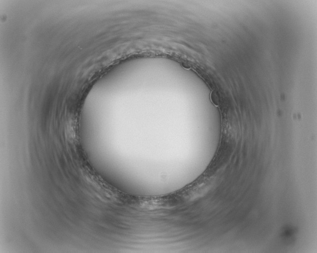 X0000060271490200511112033