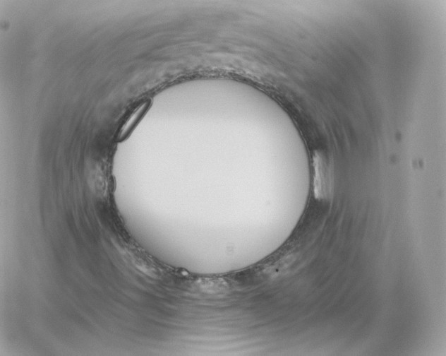 X0000060271491200511112033