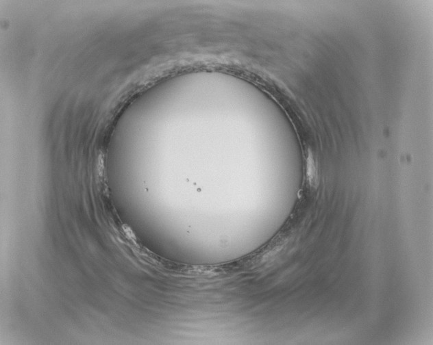 X0000060271492200511112033