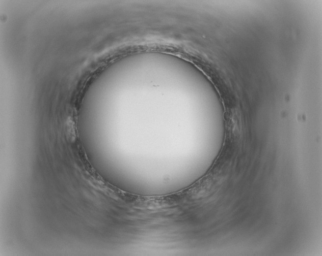 X0000060271493200511112033