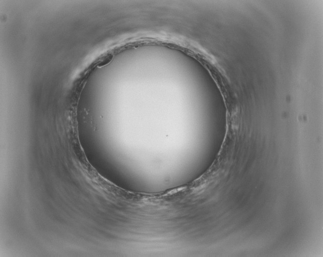 X0000060271496200511112033