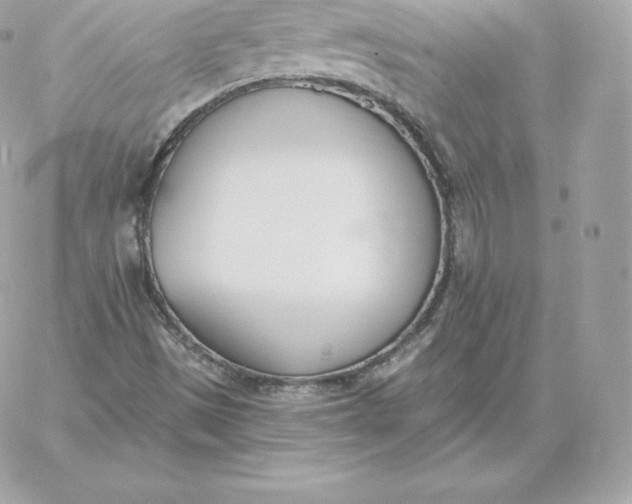 X0000060271497200511112033