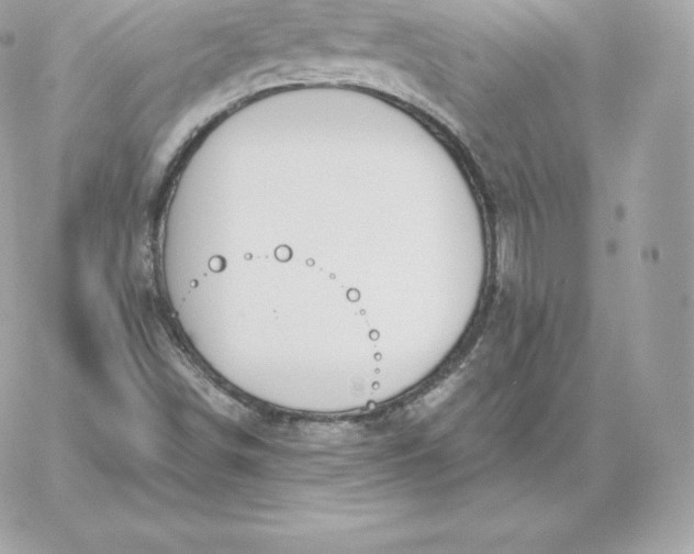 X0000060271498200511112033