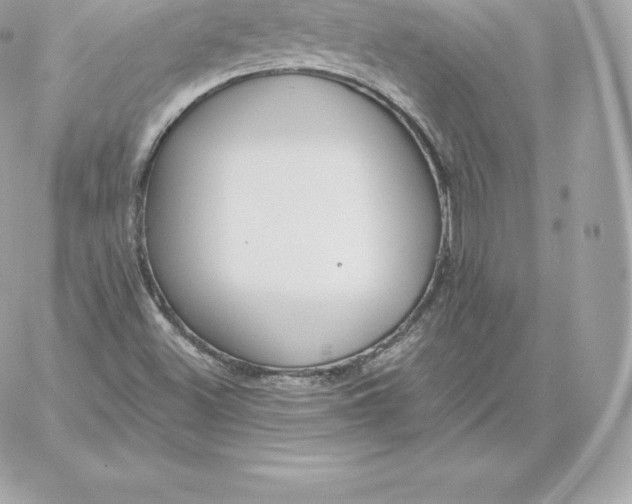 X0000060271500200511112033