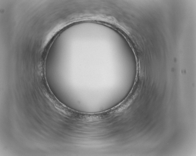 X0000060271501200511112033