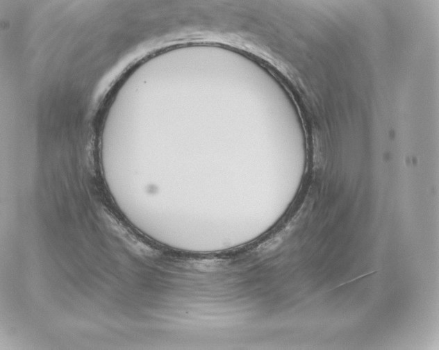 X0000060271502200511112033