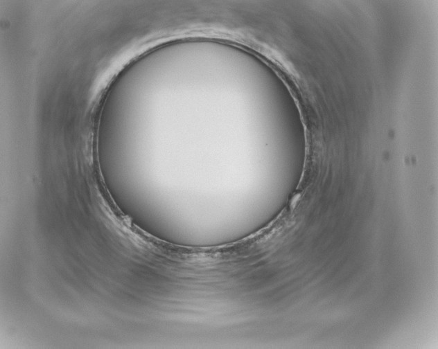 X0000060271504200511112033