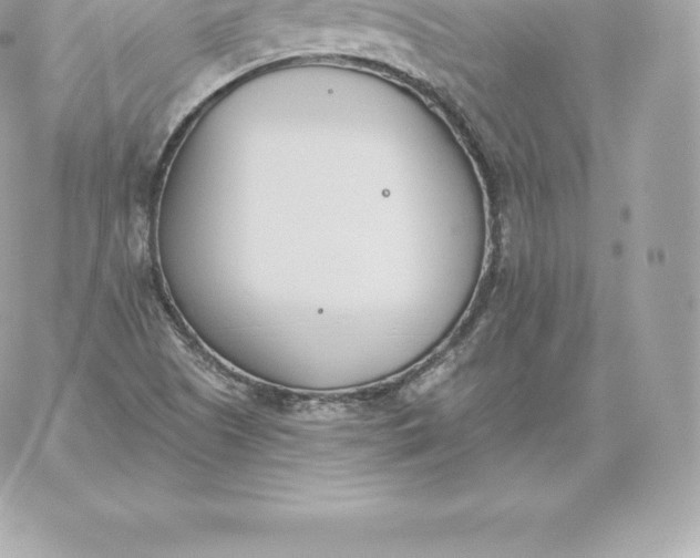 X0000060271505200511112033