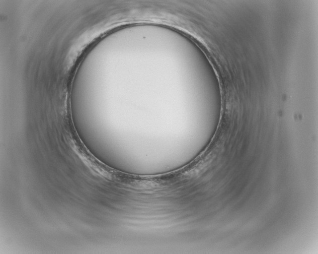 X0000060271507200511112033