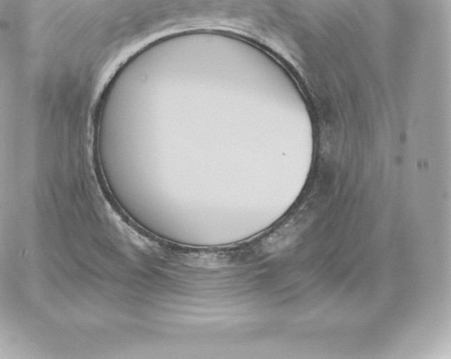 X0000060271508200511112033