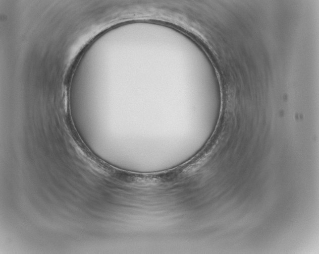 X0000060271509200511112033