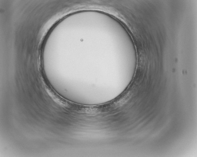 X0000060271511200511112033