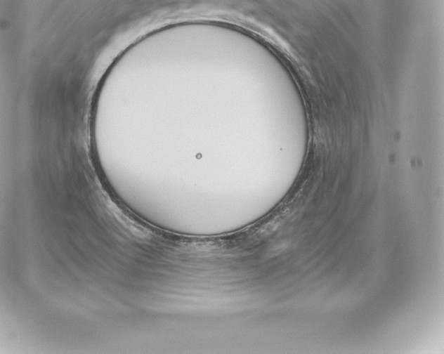 X0000060271512200511112034