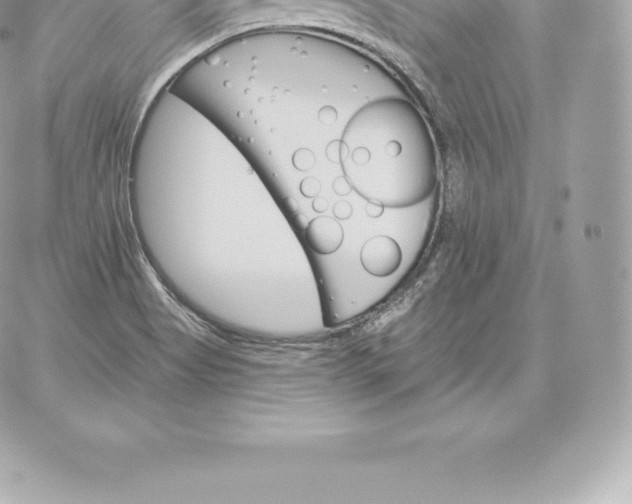 X0000060271513200511112034