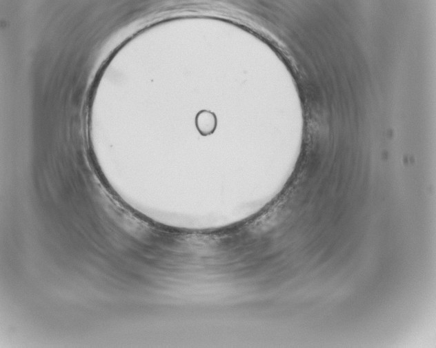 X0000060271514200511112034