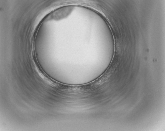 X0000060271515200511112034