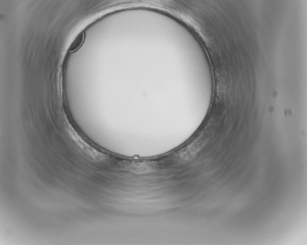 X0000060271516200511112034