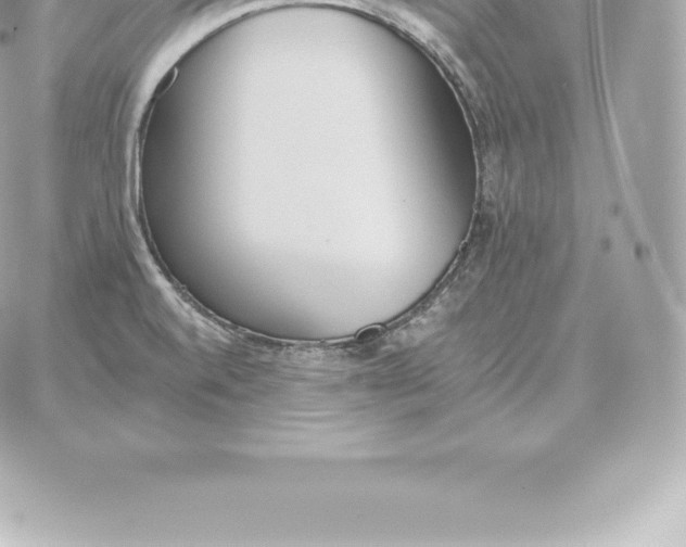 X0000060271520200511112034