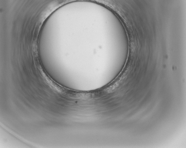 X0000060271521200511112034