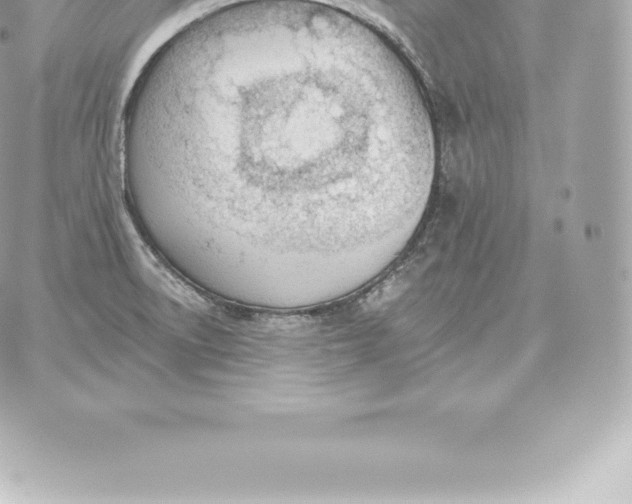 X0000060271522200511112034