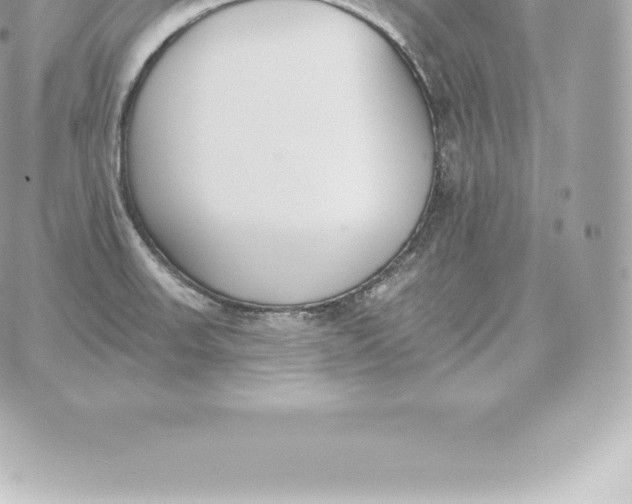 X0000060271523200511112034