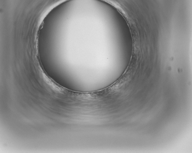 X0000060271524200511112034