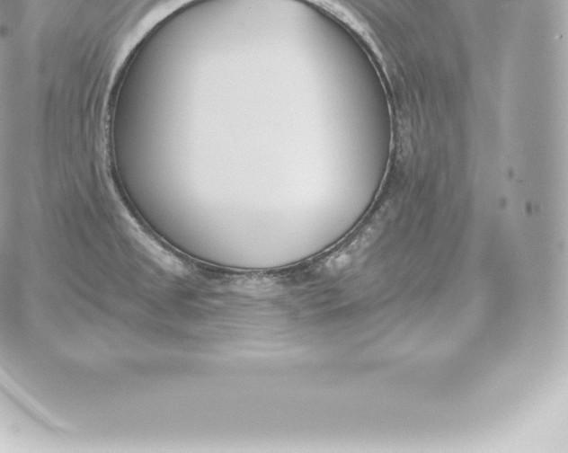 X0000060271525200511112034