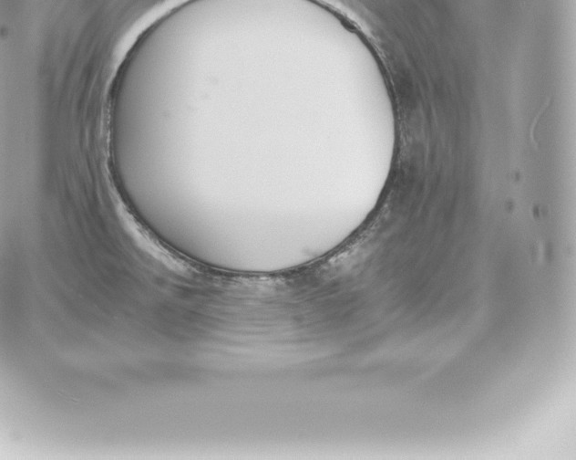 X0000060271526200511112034