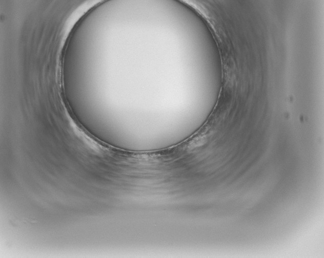 X0000060271527200511112034