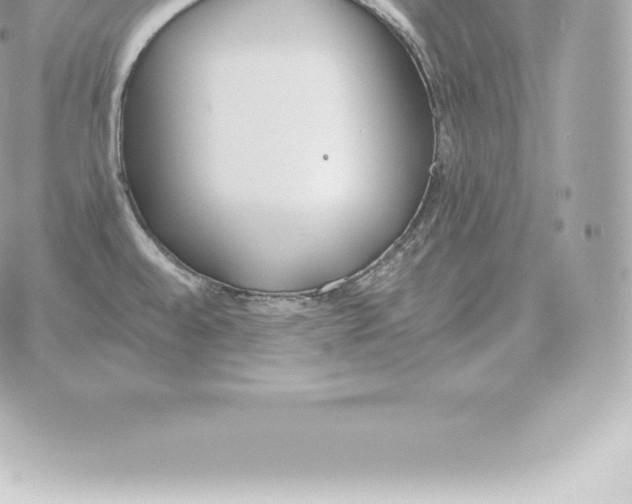 X0000060271528200511112034