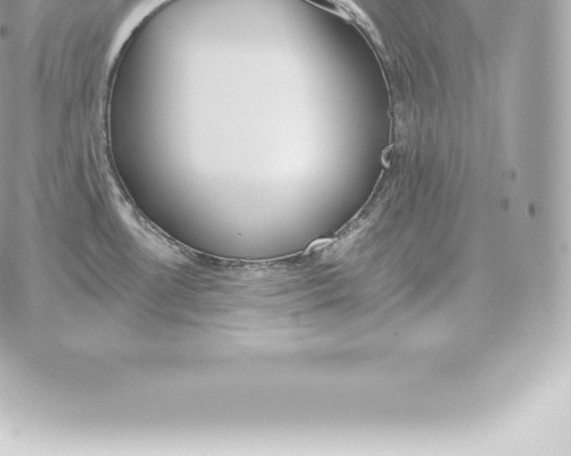 X0000060271530200511112034