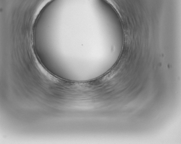 X0000060271531200511112034