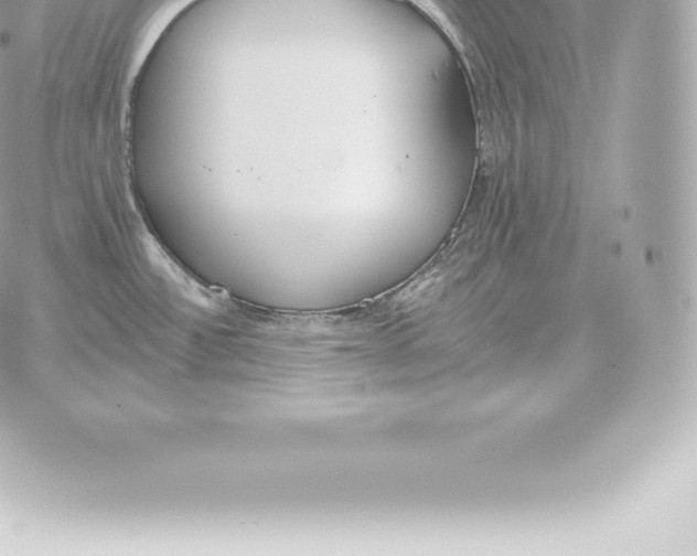 X0000060271532200511112034