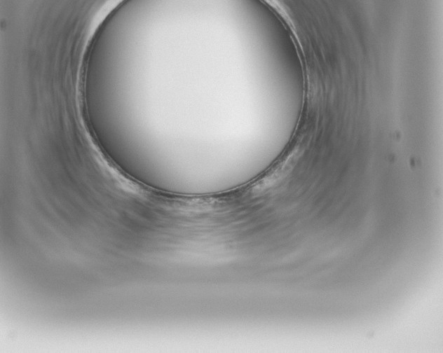 X0000060271533200511112034