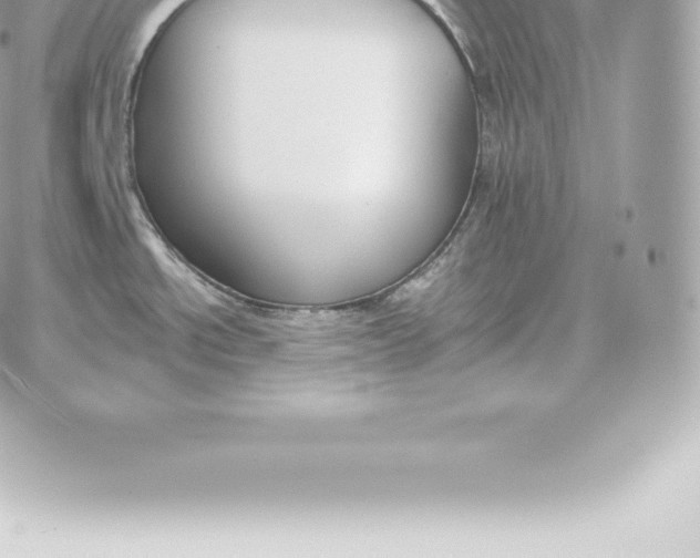 X0000060271534200511112034