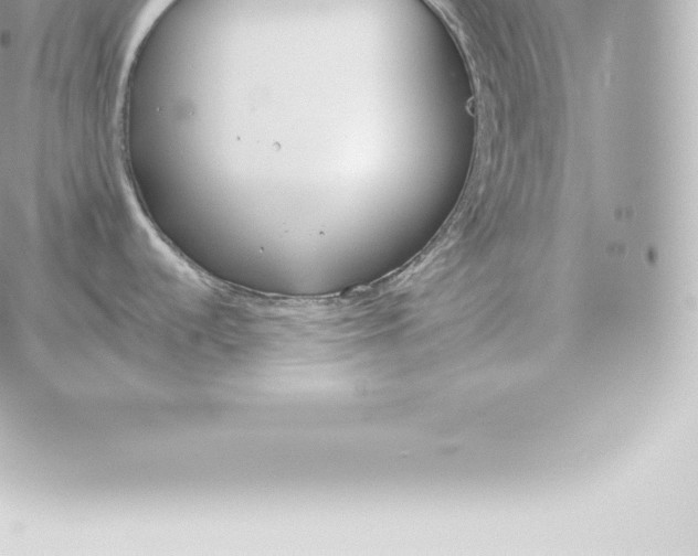 X0000060271536200511112034