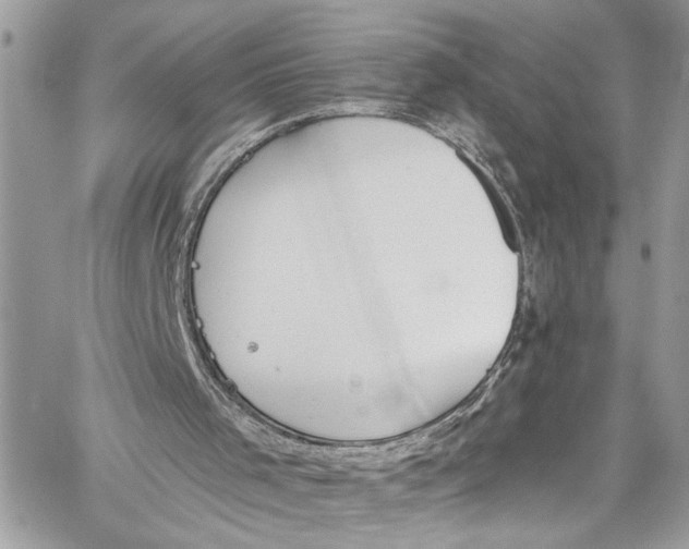 X0000060270001200511181431