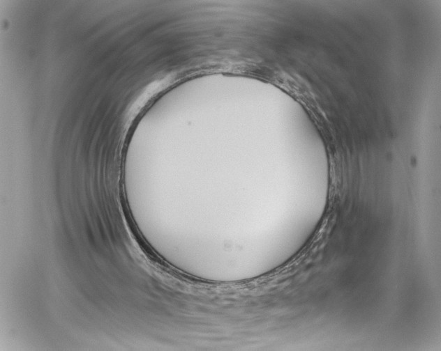 X0000060270003200511181431