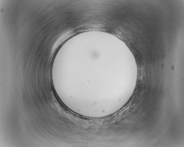 X0000060270004200511181431