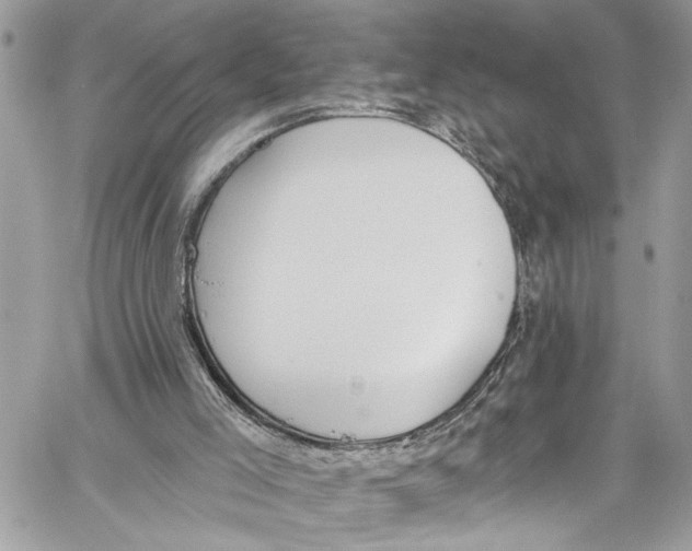 X0000060270005200511181431