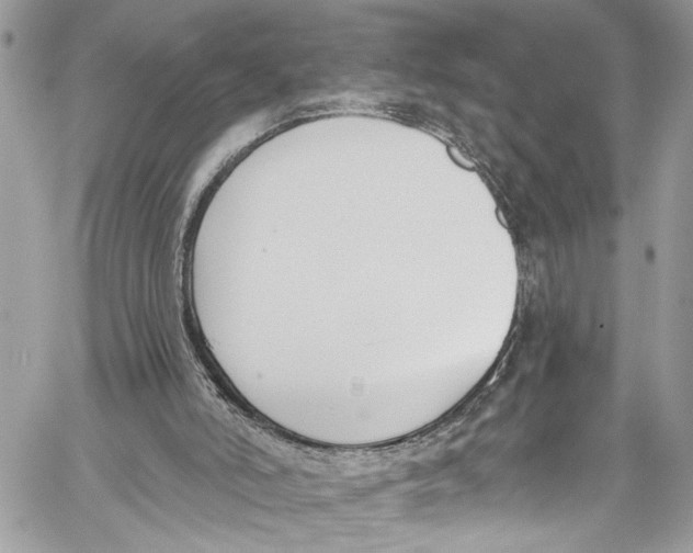 X0000060270006200511181431