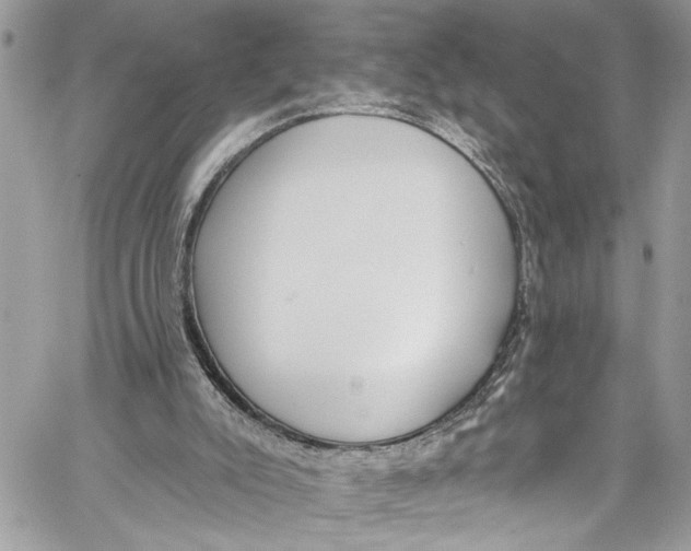 X0000060270007200511181431