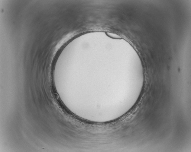 X0000060270008200511181431