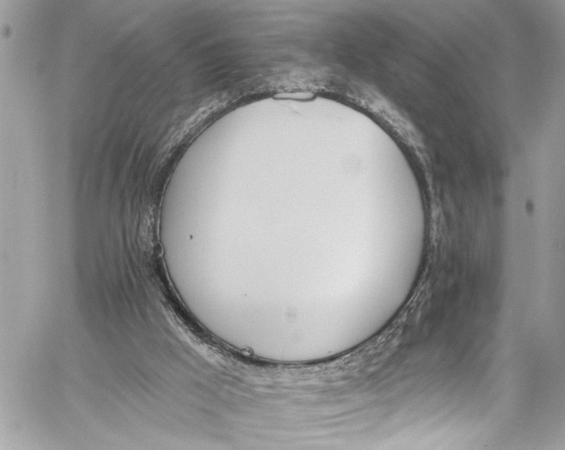 X0000060270009200511181431